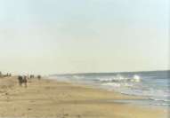 Golf von Mexico von links